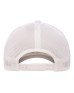 Flexfit 110M   Adult 110 Mesh Cap