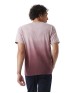 Champion CD100D   Unisex Classic Jersey Dip Dye T-Shirt