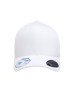 Flexfit 110C   Adult Pro-Formance Solid Cap