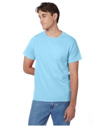 Hanes 5250T   Men's Authentic-T T-Shirt