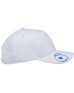 Flexfit 110C   Adult Pro-Formance Solid Cap