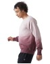 Champion CD400D   Unisex Dip Dye Crew