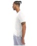 Champion CHP160   Men's Sports T-Shirt