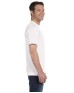 Gildan G800   Adult T-Shirt